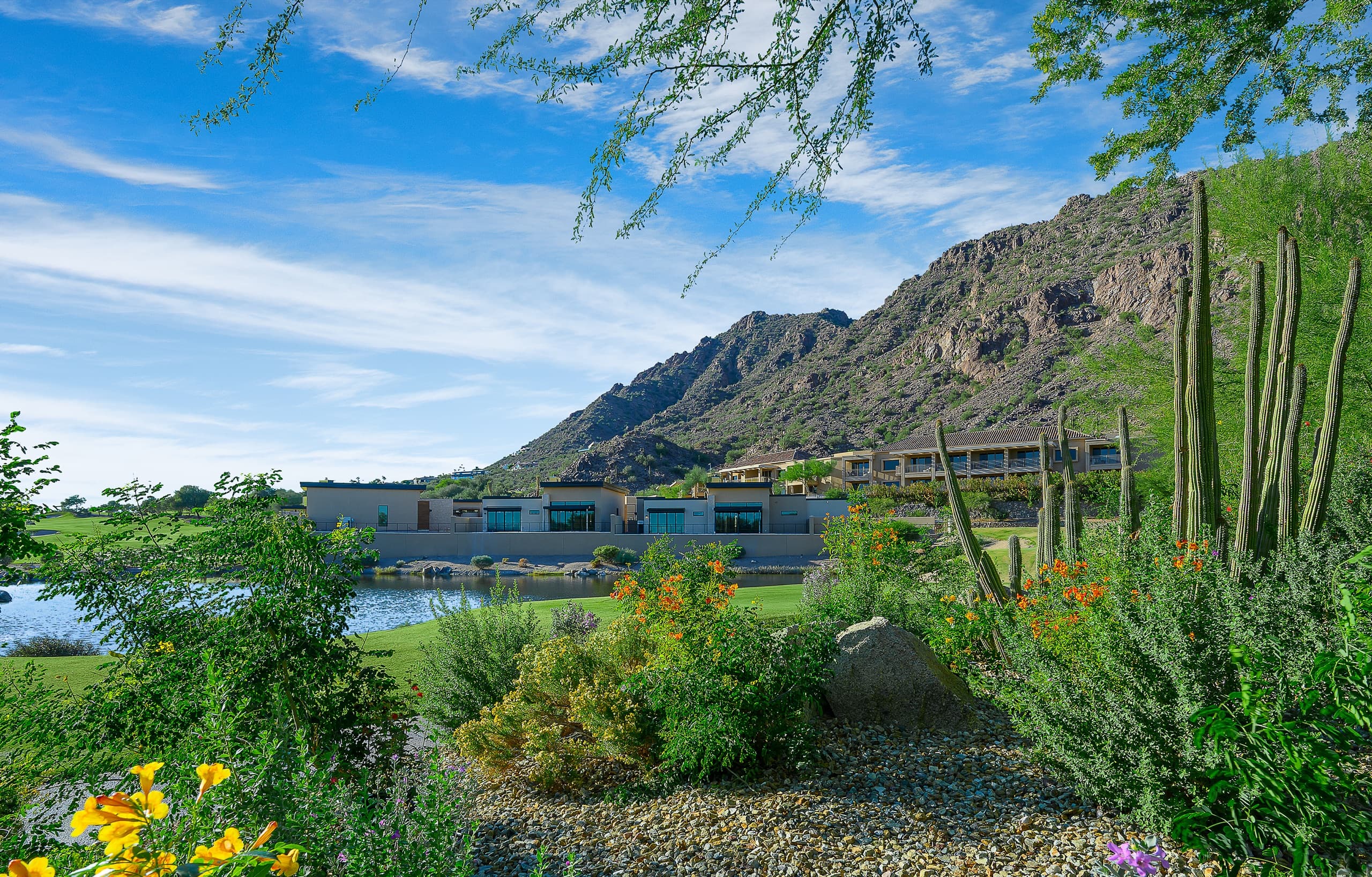 Scottsdale & Paradise Valley